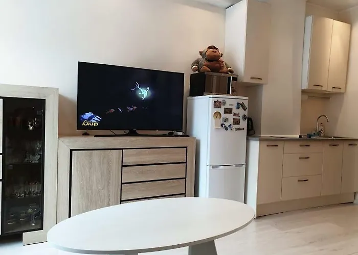 Located In The Center Of Tallinn. Apartment *